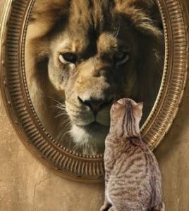 Pic 5 Lion Reflection