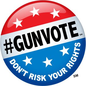 Gun Vote 